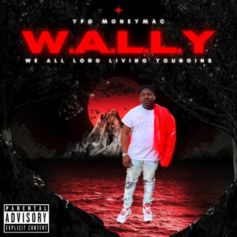 Night with wally | Boomplay Music