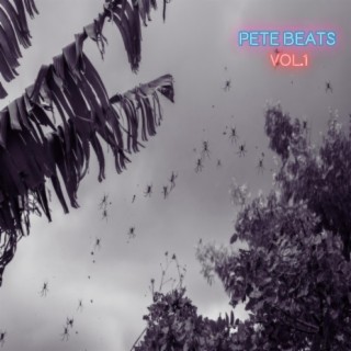 Pete Beats Vol. 1