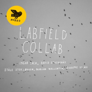 Labfield