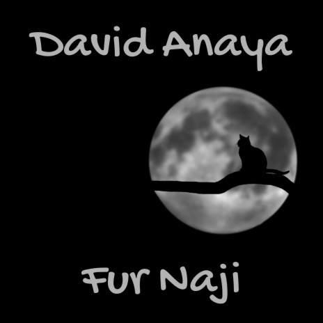 Fur Naji (Piano Solo Version)