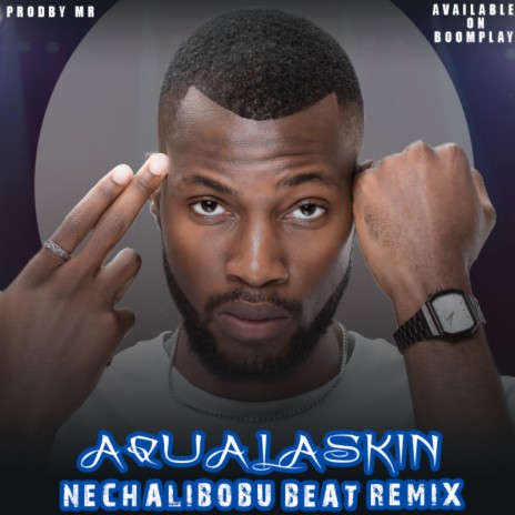 Aqualaskin nechalibobu beat remix