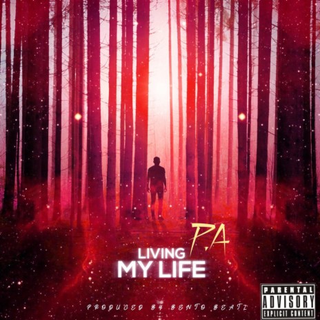 Living My Life | Boomplay Music