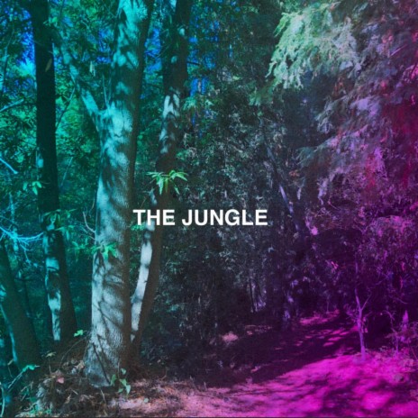 The Jungle | Boomplay Music