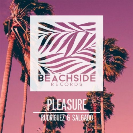 Pleasure (Original Mix) ft. Salgado | Boomplay Music