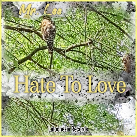 Hate To Love