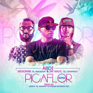 Picaflor (Remix)