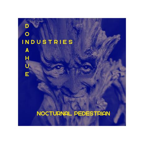 Nocturnal Pedestrian | Boomplay Music