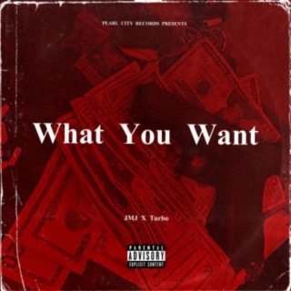 What You Want (feat. Turbo309)