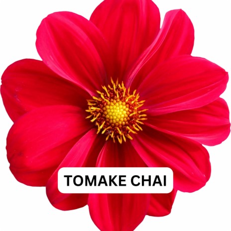 TOMAKE CHAI | Boomplay Music