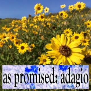 As Promised: Adagio