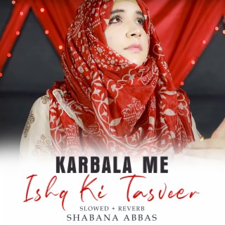 Karbala Me Ishq Ki Tasveer Lofi