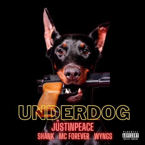 UNDERDOG (feat. Be Alert) | Boomplay Music