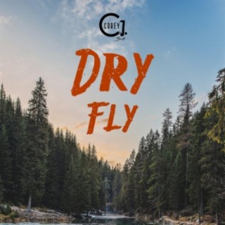 Dry Fly