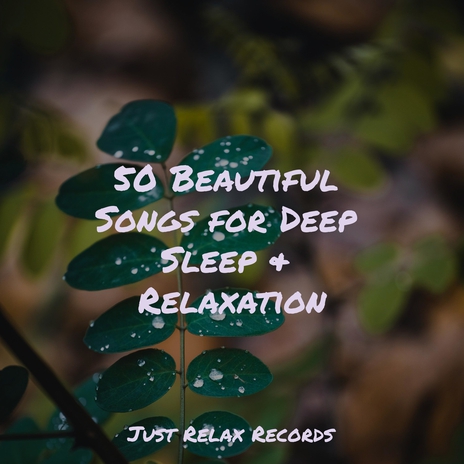 Reflection Reverie ft. Relaxing Spa Music & Music For Absolute Sleep | Boomplay Music