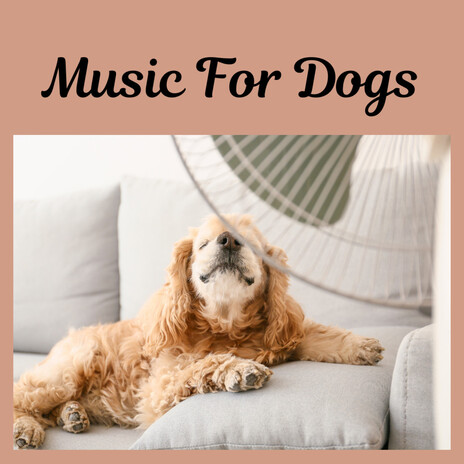 Soothing Relief ft. Music For Dogs, Relaxing Puppy Music & Calm Pets Music Academy | Boomplay Music