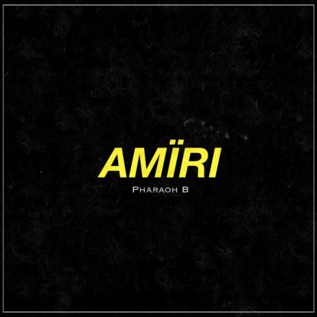 AMIRI | Boomplay Music