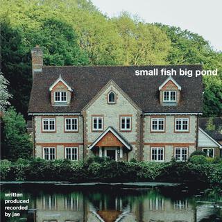 small fish big pond