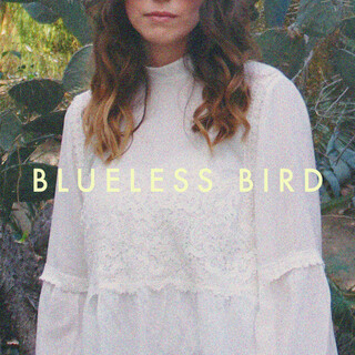 Blueless Bird