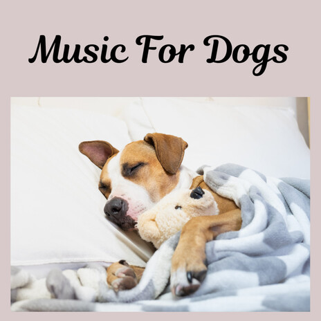 Everlasting Sleep for Dogs ft. Music For Dogs Peace, Relaxing Puppy Music & Calm Pets Music Academy | Boomplay Music