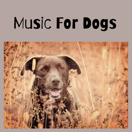 Inner Peace for Pups ft. Music For Dogs Peace, Relaxing Puppy Music & Calm Pets Music Academy | Boomplay Music