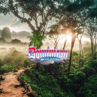Rainforest Music - Soothing Lullabies for Relaxation, Relaxing Sounds of Nature Background