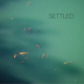 settled | Boomplay Music
