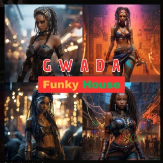 Gwada Funky House