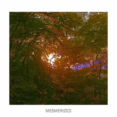 Mesmerized (Slowed) | Boomplay Music