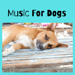 Music For Dogs