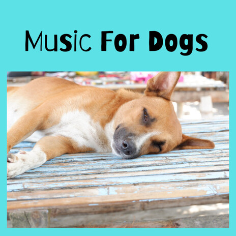 Paradise Kisses ft. Music For Dogs Peace, Relaxing Puppy Music & Calm Pets Music Academy