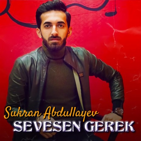 Sevesen Gerek | Boomplay Music