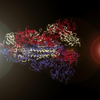 Sonification of the Coronavirus Spike Protein (Amino Acid Scale)