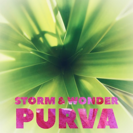 Purva | Boomplay Music