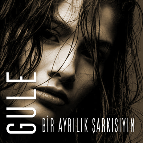 Bir Ayrılık Şarkısıyım | Boomplay Music