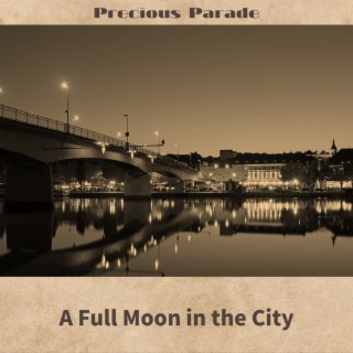 A Full Moon in the City