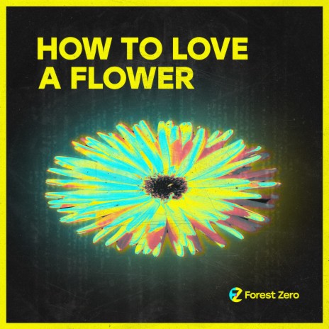 How To Love A Flower