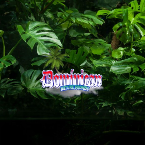 Enchanted Rainforest Sanctuary
