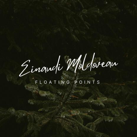 Floating Points | Boomplay Music