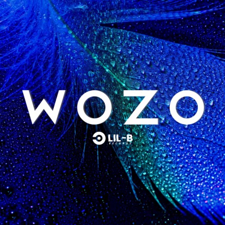 Wozo | Boomplay Music