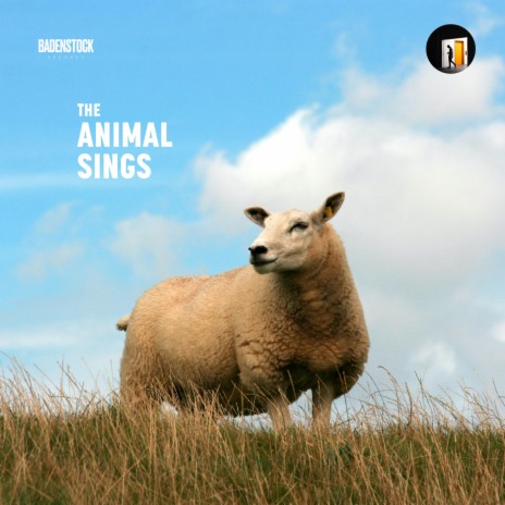 Sheep Dance | Boomplay Music