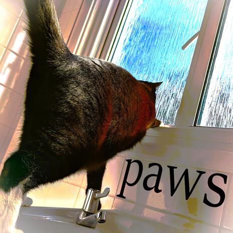 paws | Boomplay Music