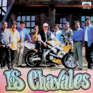 Chavos Banda