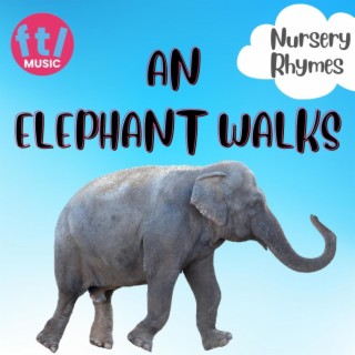 An Elephant Walks Like This