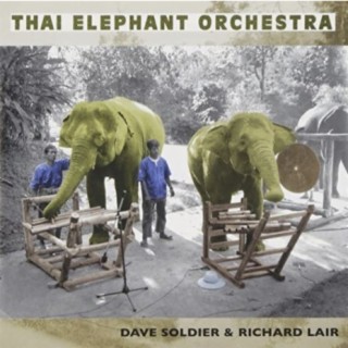 The Thai Elephant Orchestra