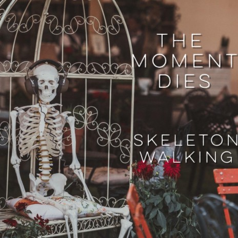 Skeleton Walking | Boomplay Music