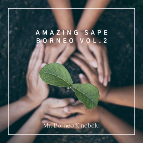 Amazing Sape Borneo Vol.2 | Boomplay Music