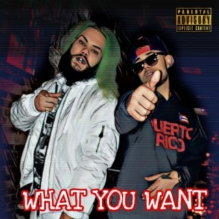 What You Want (feat. Macho Playboie)
