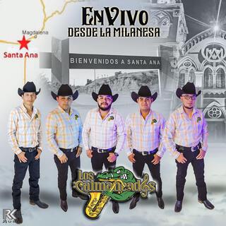 En vivo! (santa ana son.) (En vivo)