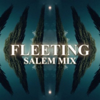 Fleeting (Salem Remix)