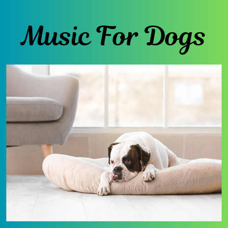 Woof Waltz ft. Music For Dogs Peace, Relaxing Puppy Music & Calm Pets Music Academy | Boomplay Music